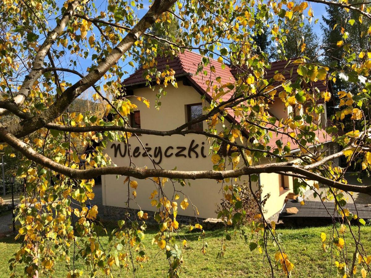 Willa Wiezyczki Świeradów-Zdrój エクステリア 写真